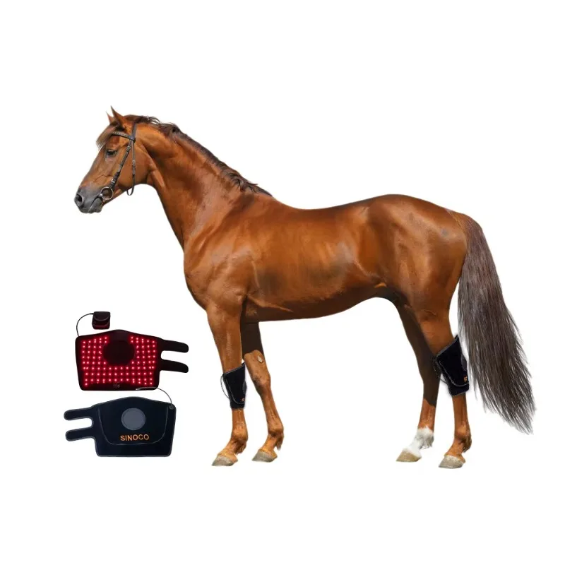 2026 Red Light Therapy Pad About Horse Knee Pet Care Horse Race Treatment Equipment Veterinary Instrument 660nm 850nm Wavelength