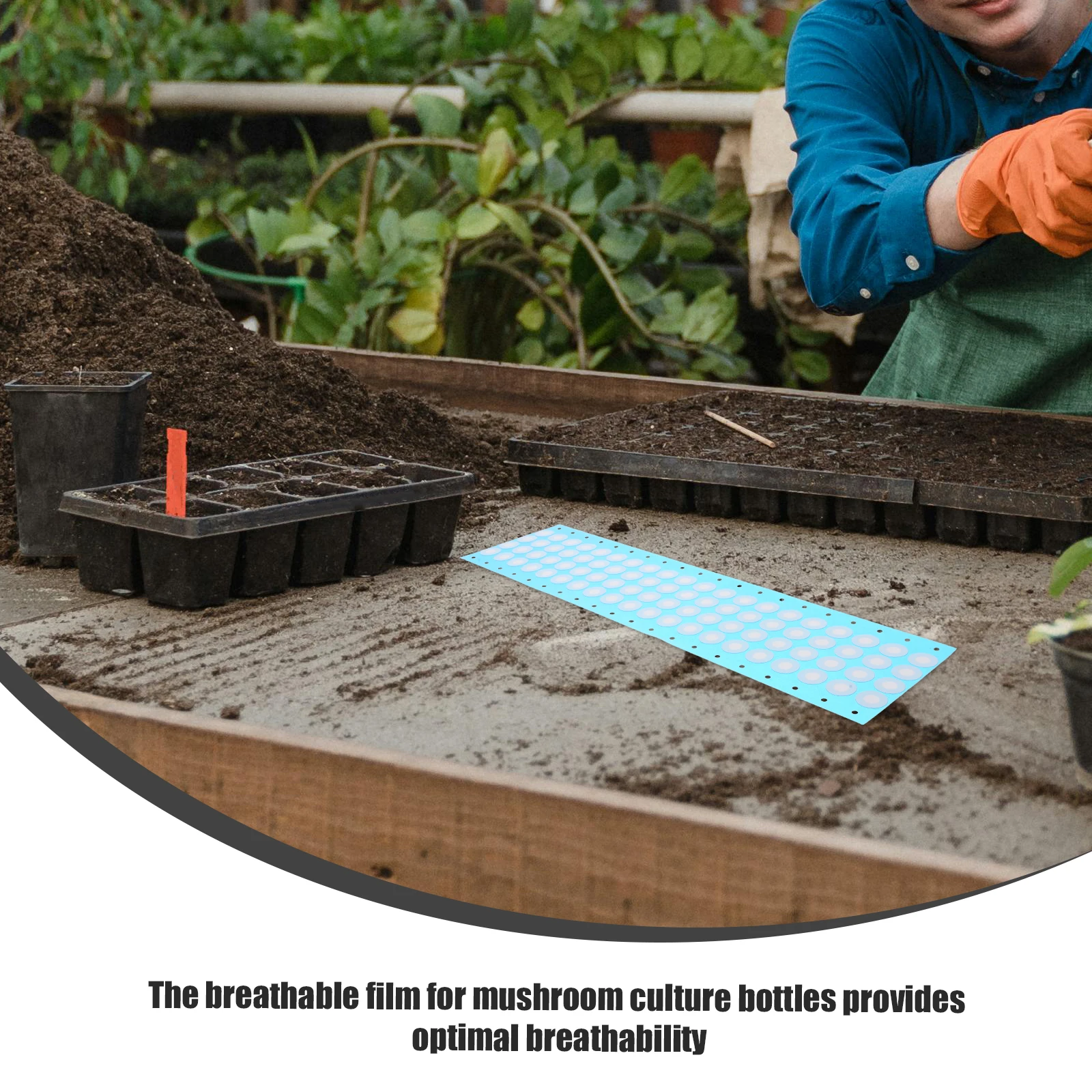 

80pcs Eptfe Filter Membrane for Mushroom Cultivation Bacteria-isolating Breathable Films Mycology Stickers Bottle
