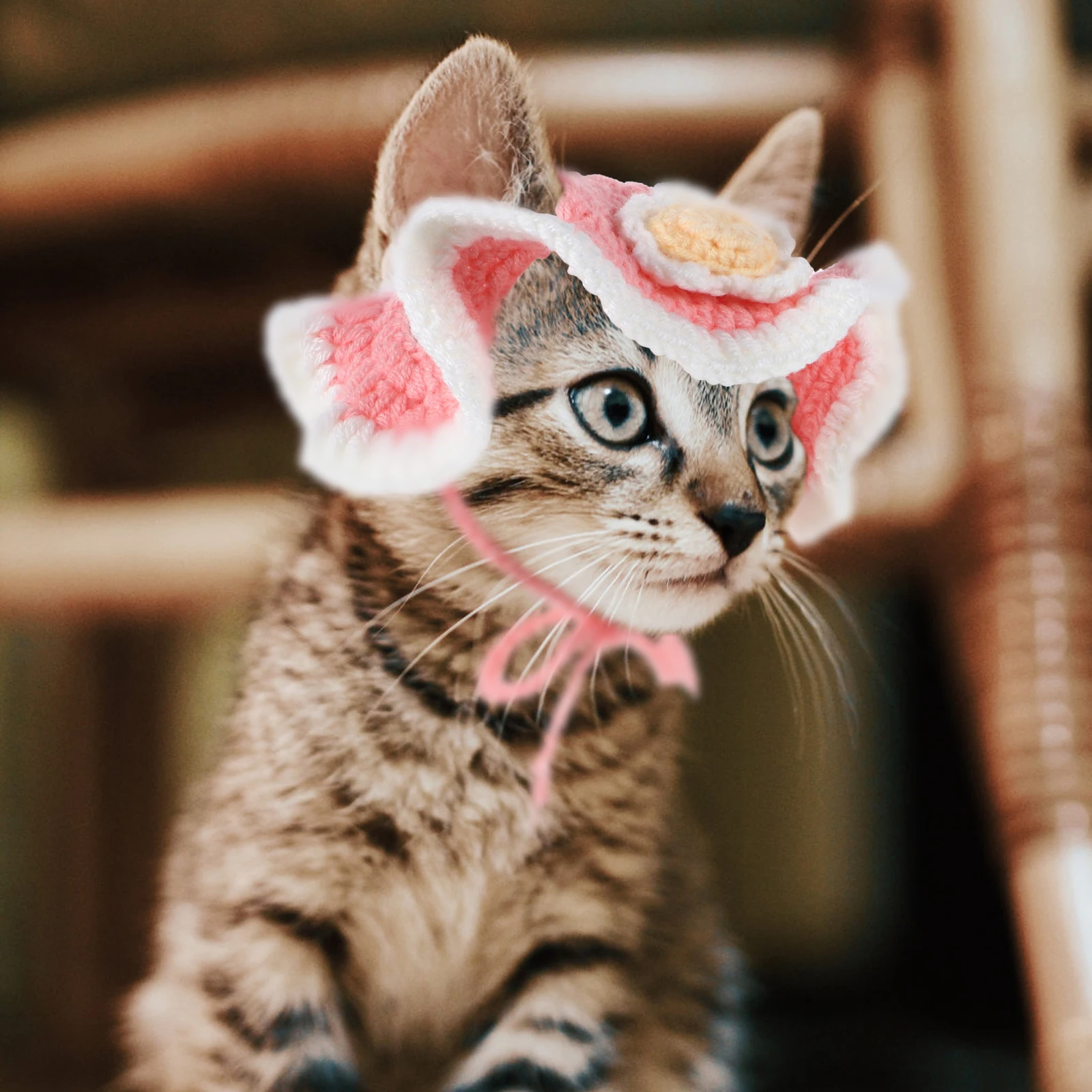 

Cat Hat Headdress Dog Hats Knitted Rabbit Yarn Puppy Pet Dad for Party Accessories