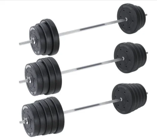 

Wholesale High Strength Cast Iron ABS Standard Dumbbell Weight Plates Pounds Weight Lifting Cheap Price