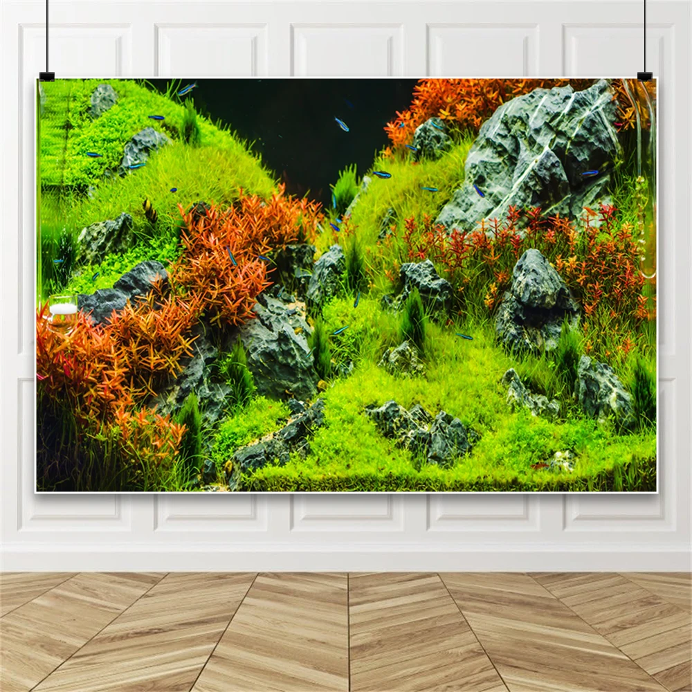 수중 잔디 사진 배경 인공 수족관 식물 장식 어항 수중 - Planted Aquarium Photos 리뷰 및 가격
