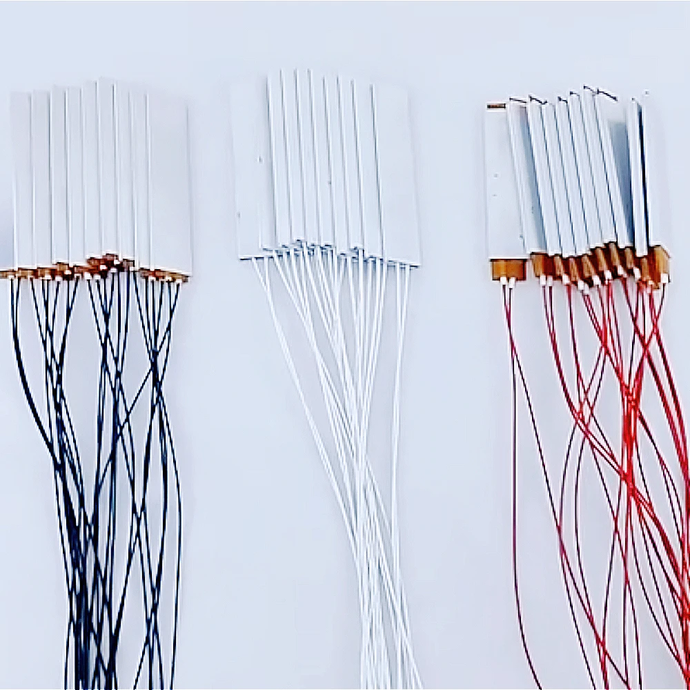 

220 В/110 В/12 В PTC нагреватель для инкубатора для яиц, аксессуар, нагревательный элемент мини-инкубатора