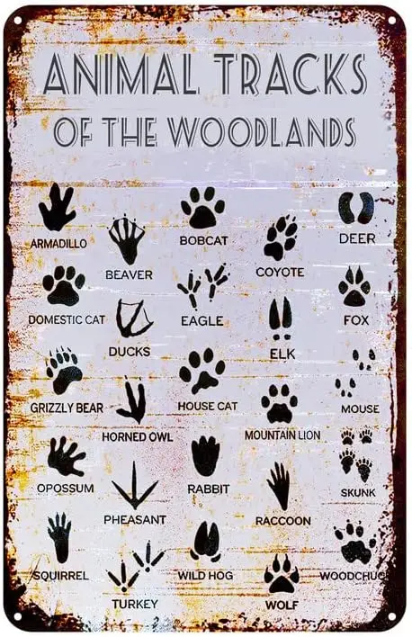 Animal Tracks Field Guide Sign Nursery Metal Tin Sign Rustic Animal Tracks Wall Decor Country Woodland Theme House Decor Fa sign