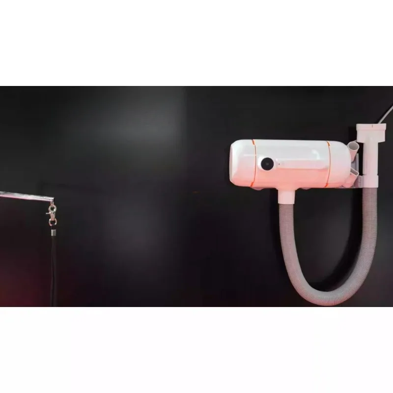 Secador de agua de iones negativos de doble motor para mascotas, artefacto de agua para baño de perros y gatos, sonido bajo