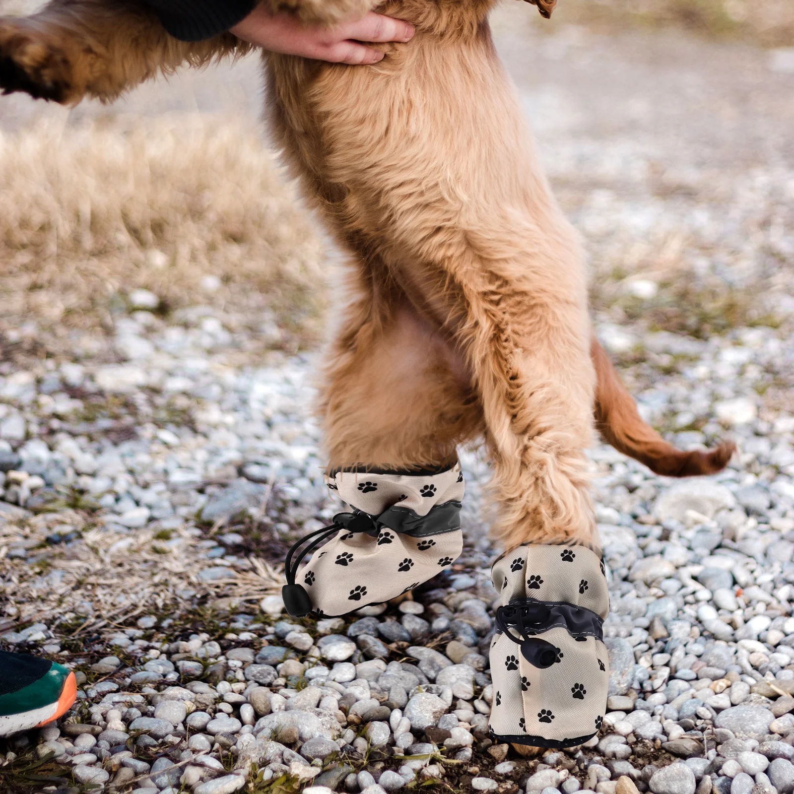 

4Pcs Puppy Shoes Dog Boots Anti-Skid Waterproof Soft-Soled Paw Protectors Pet Booties Indoor Outdoor Use Dog Boots