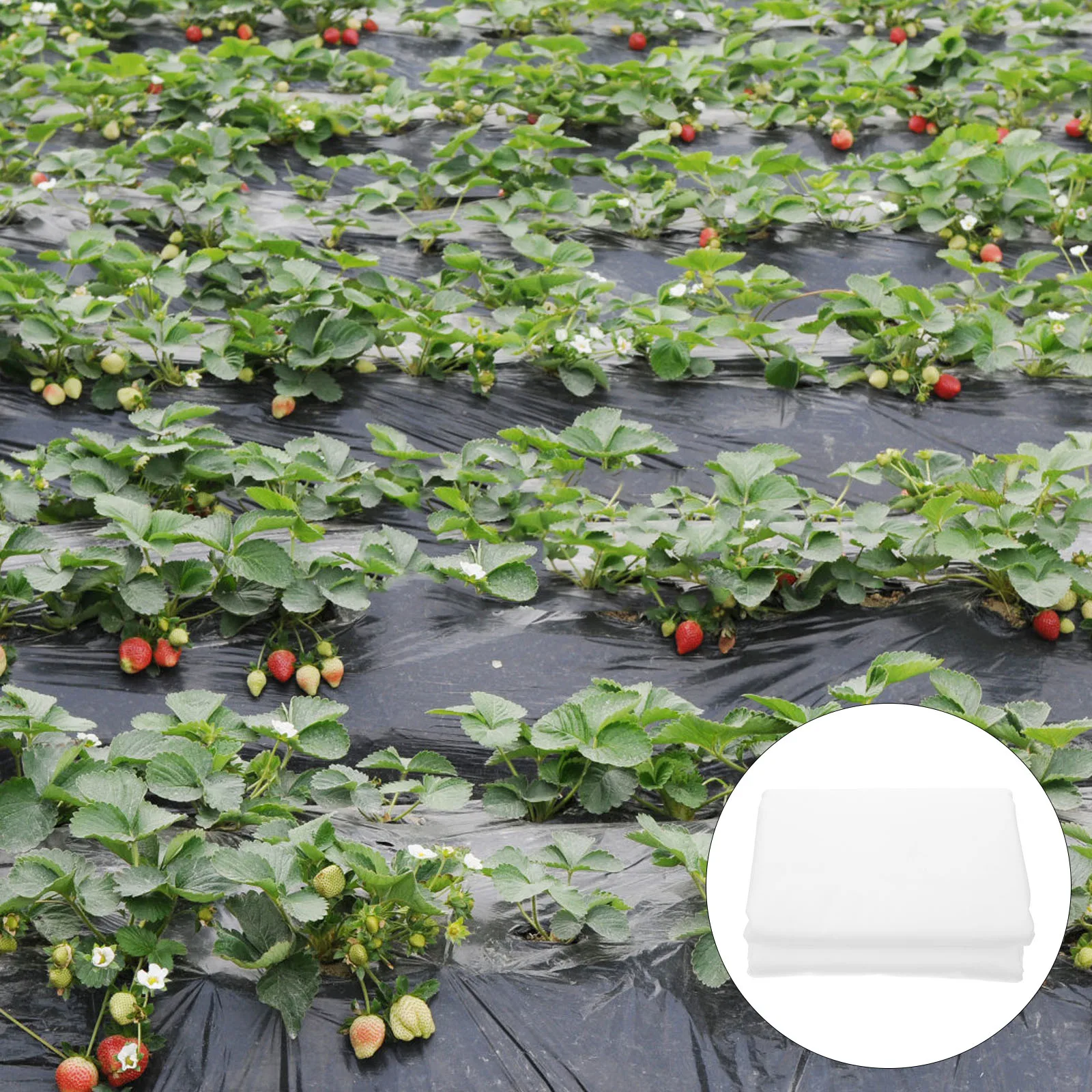 

Shrub Freeze Protection Cover Nonwoven Fabric Plant Frost Blanket Outdoor Vegetable Row Cover Winter Plant Insulation Protection