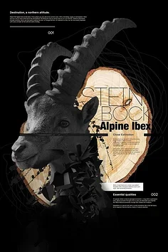 합금 4개 림 휠 5 스포크 드리프트 타이어 RC 취미 모델카 1/28 Wltoys K969 K989 P929 드리프트 랠리 Kyosho Mini-Z Q D용