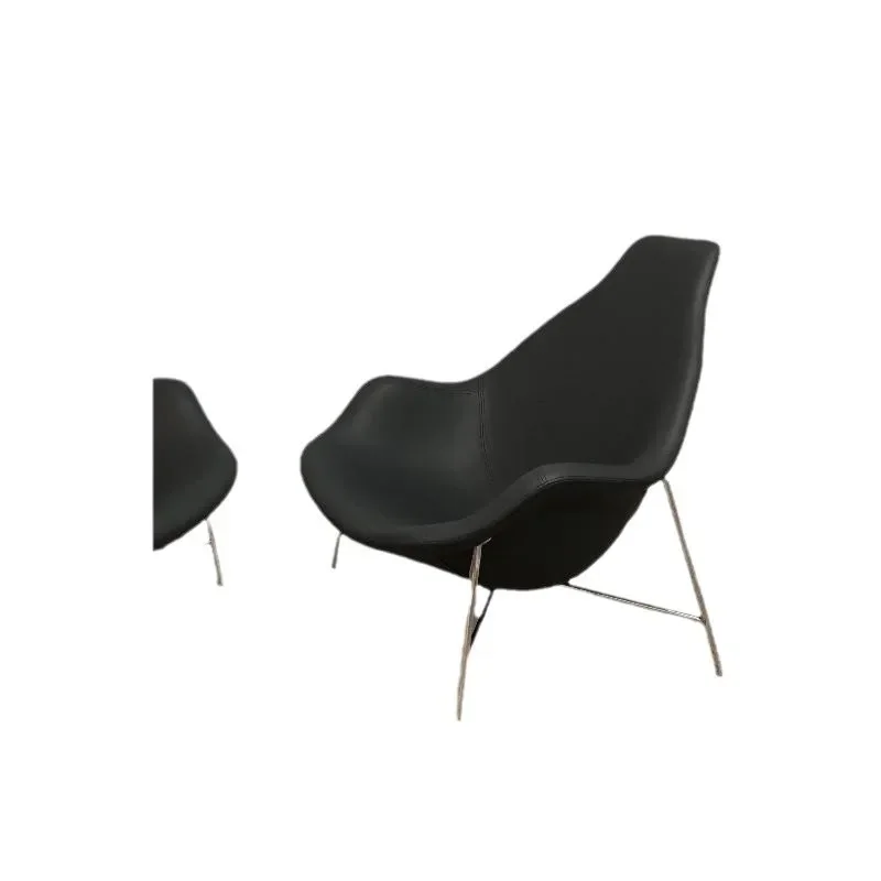 

Creative special-shaped sofa chair minimalist comfort leisure Internet celebrity recliner chair light luxury