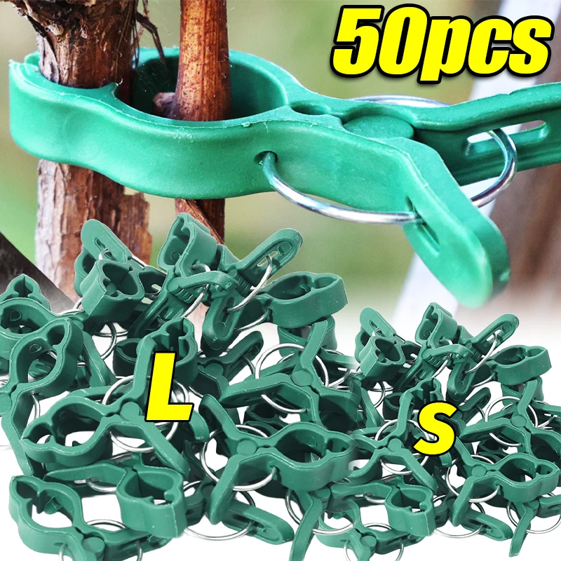 50/10Pcs Large Plan…