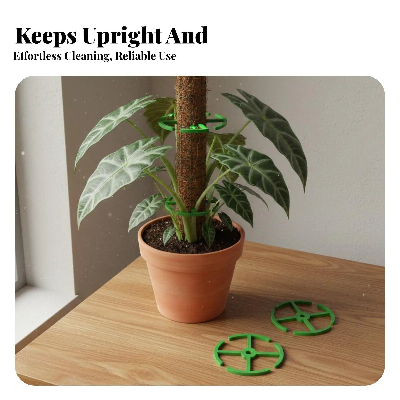 4 Pieces Alocasia Support Holder Reusable Indoor Plant Support Loop S Easy Installation Plant Climbing Frame for Gardeners,