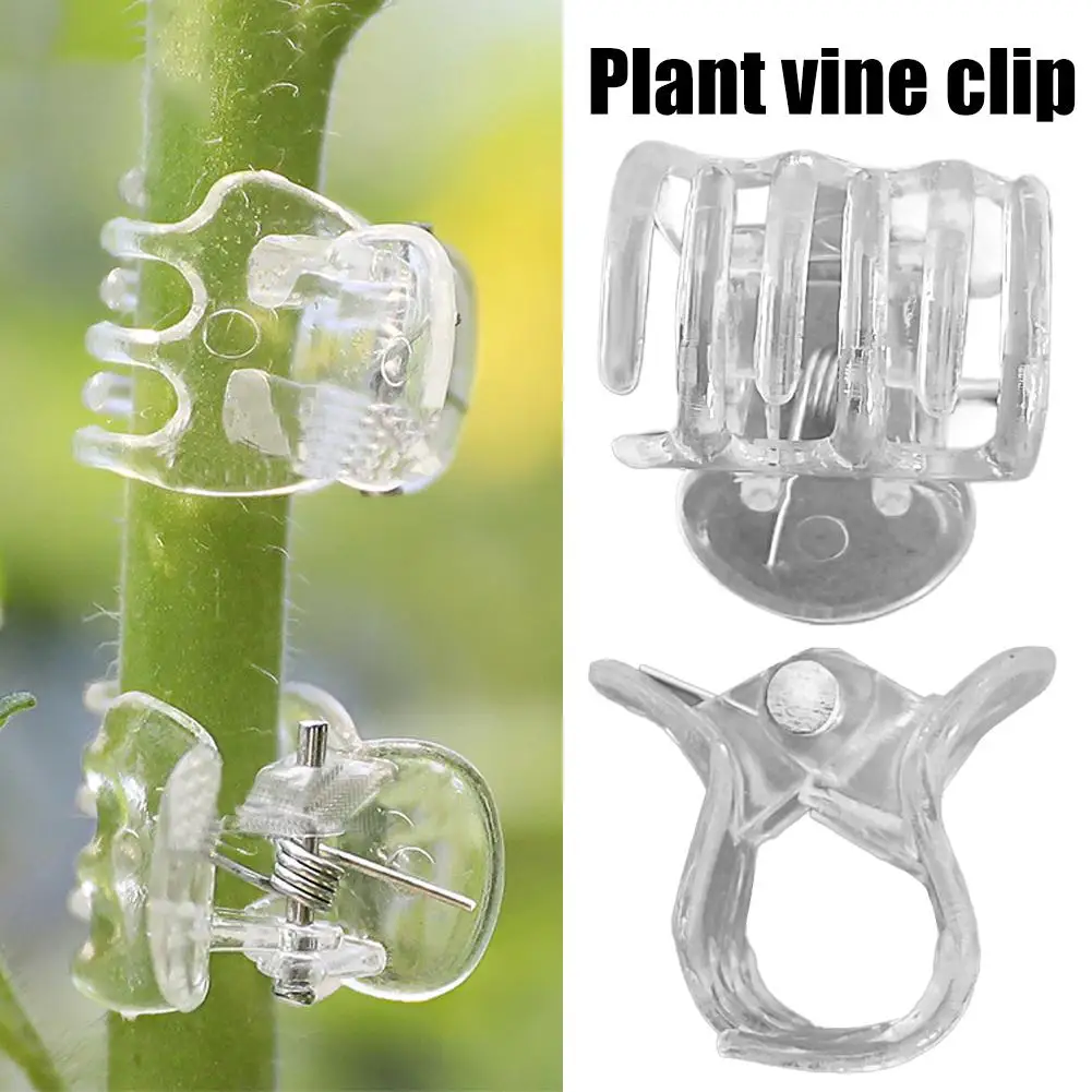 50Pcs Transparent 6 Claws Orchid Clips Plastic Butterfly Flowers Support Clear Fixer For Garden Vine Stem Plants Climbing