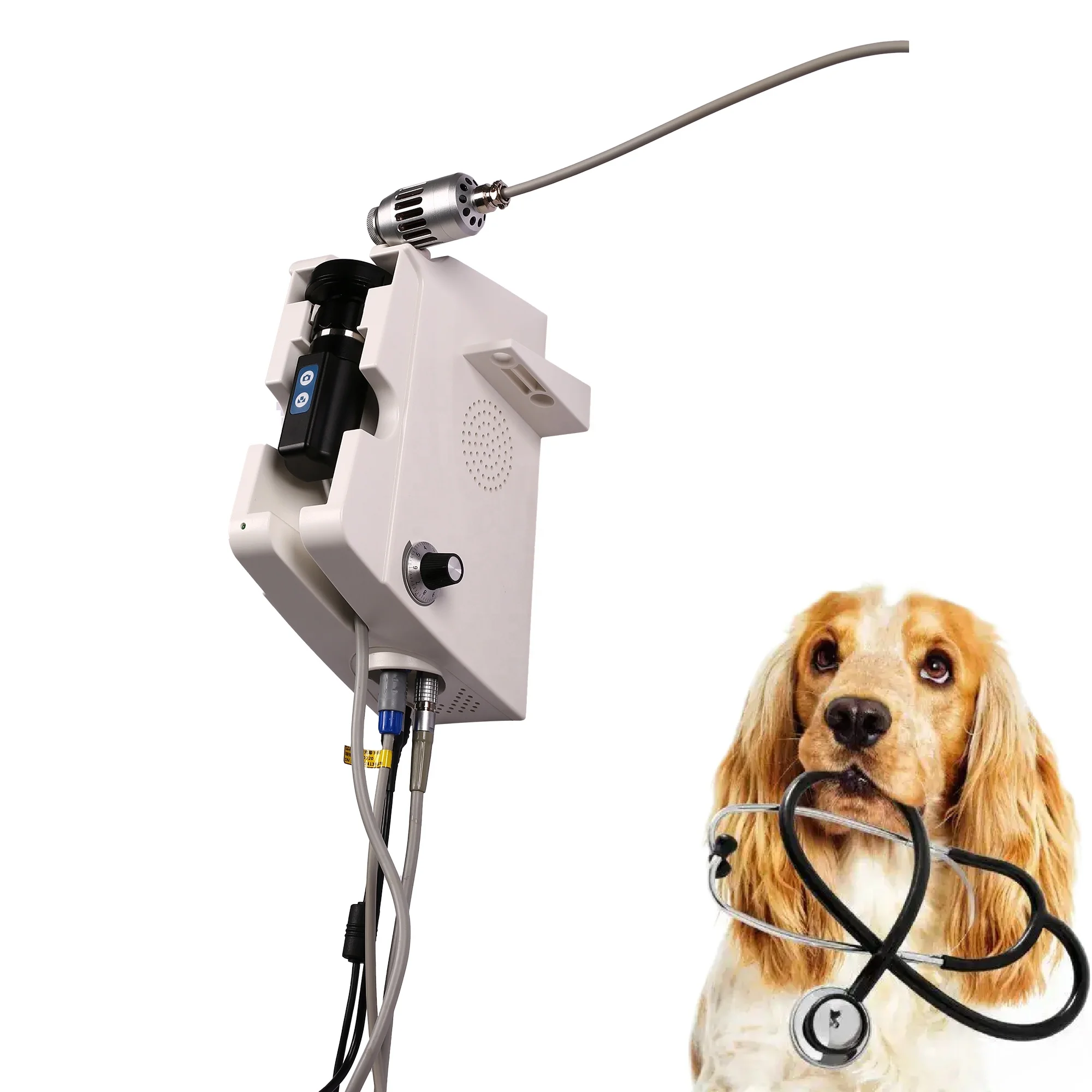 HEIZLE Veterinary Endoscopic System Flexible Endoscope Camera Module Wall Video Animal Medical Endoscope For Pet Hospital