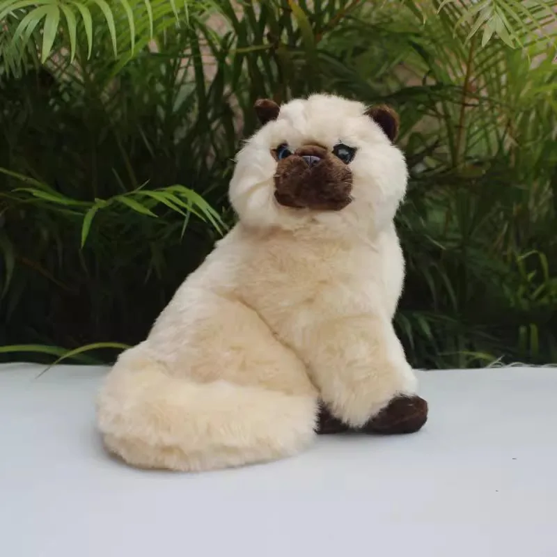 Simulated Persian Cat Doll Realistic Animal Cat Doll Mini Cute Kitten Cloth Doll Plush Toy Male Girlfriend Gift 25CM DY10257