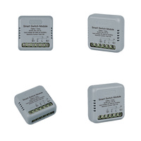 Tuya Zigbee & WiFi Smart Home Switch Module, App Remote Control, Timer Function, Works with Alexa Voice Control