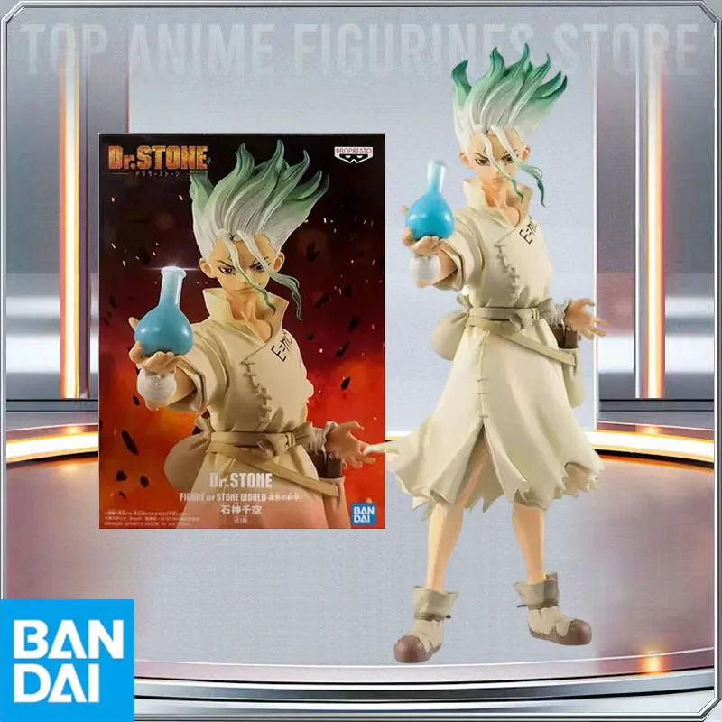 

BANDAI Genuine Banpresto Dr.STONE Ishigami Senkuu Anime Action Figures Collectible Model Toy Ornament Holiday Gift