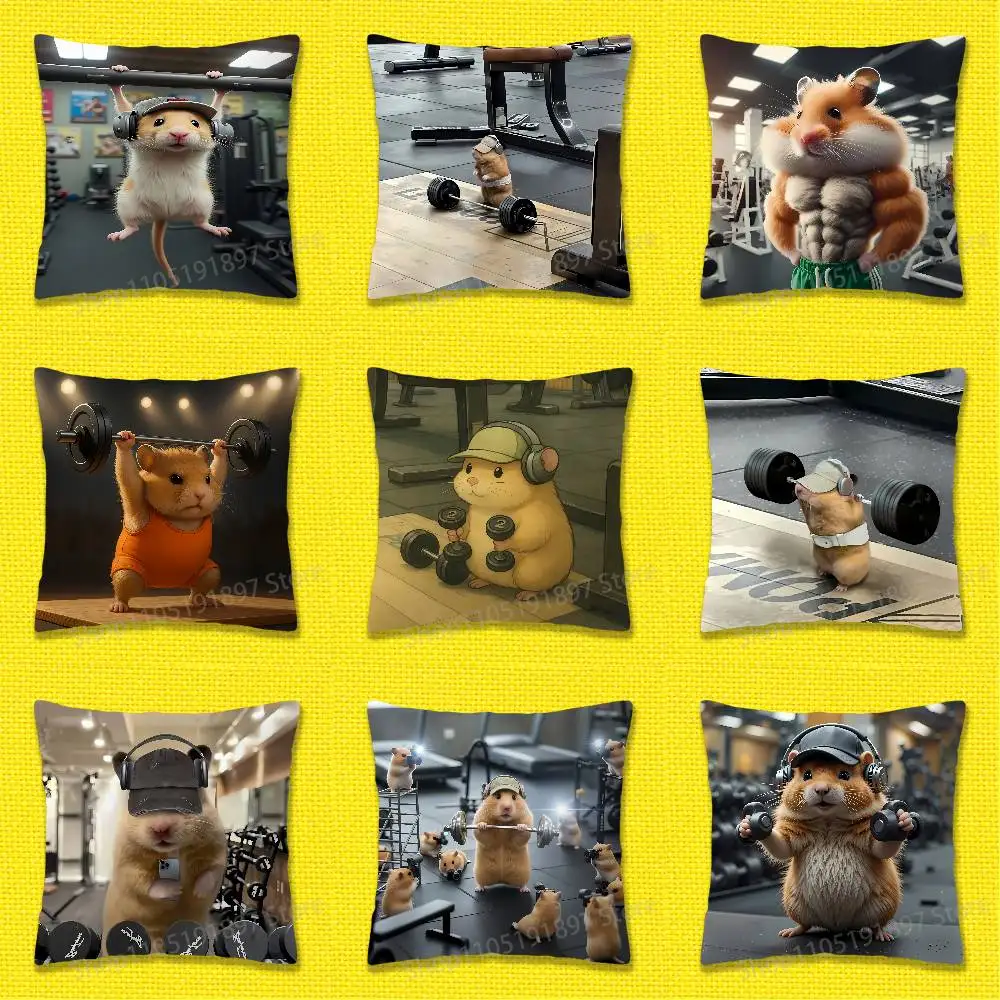 

Gym Hamster Mouse Rat Cat Throw Pillow Case For 30cm 40cm 45cm 50cm 55cm Square Sofa Pillowcase Shell