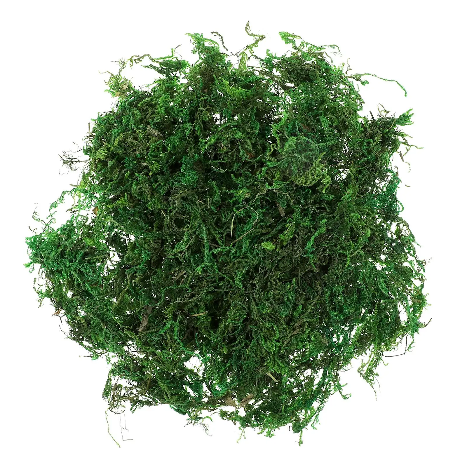 

Simulated Moss Decoration Fake for Plants Gardening Decorative Potted Preserved Crafts Terrarium