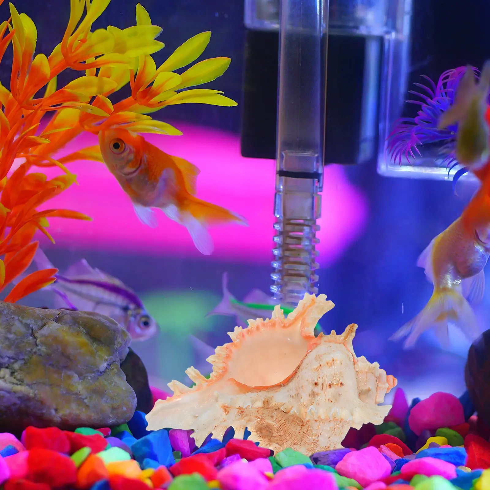 Natural Sea Shell Decoration 12-14cm White Conch for Fish Tank Aquarium Landscaping Ornament Pet Supplies Accessories