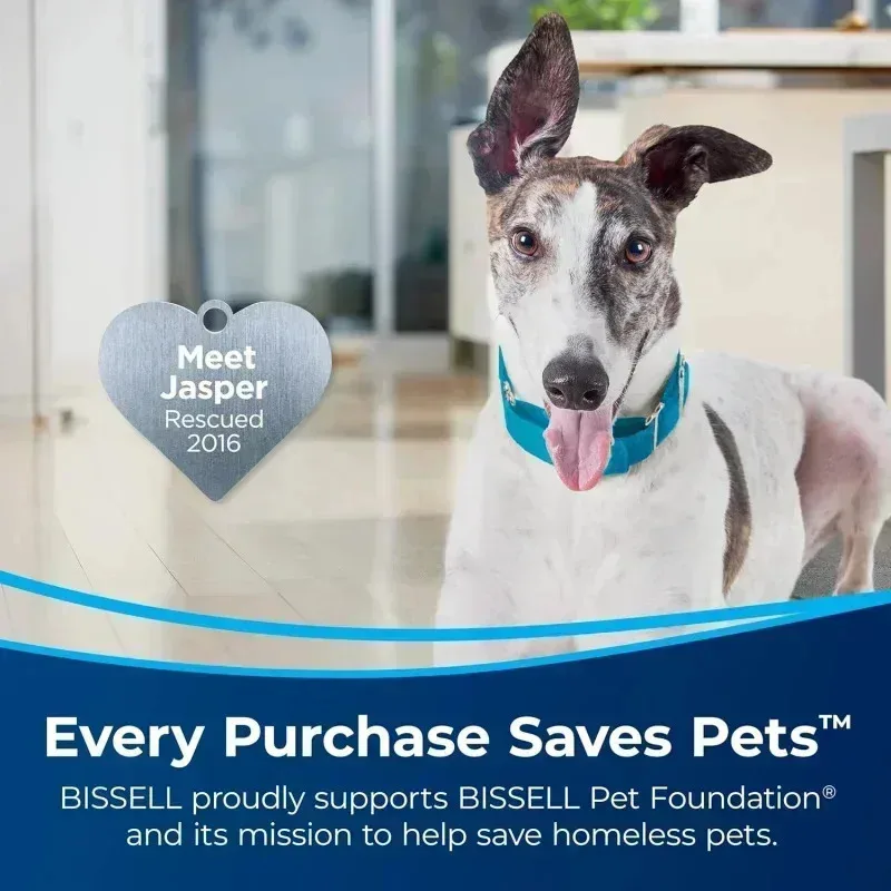 مكنسة PMD4-ABISSELLS SurfaceSense الحساسية لرفع الحيوانات الأليفة المستقيمة، مع لفة فرشاة متعددة الأسطح خالية من التشابك، مصابيح أمامية LED،