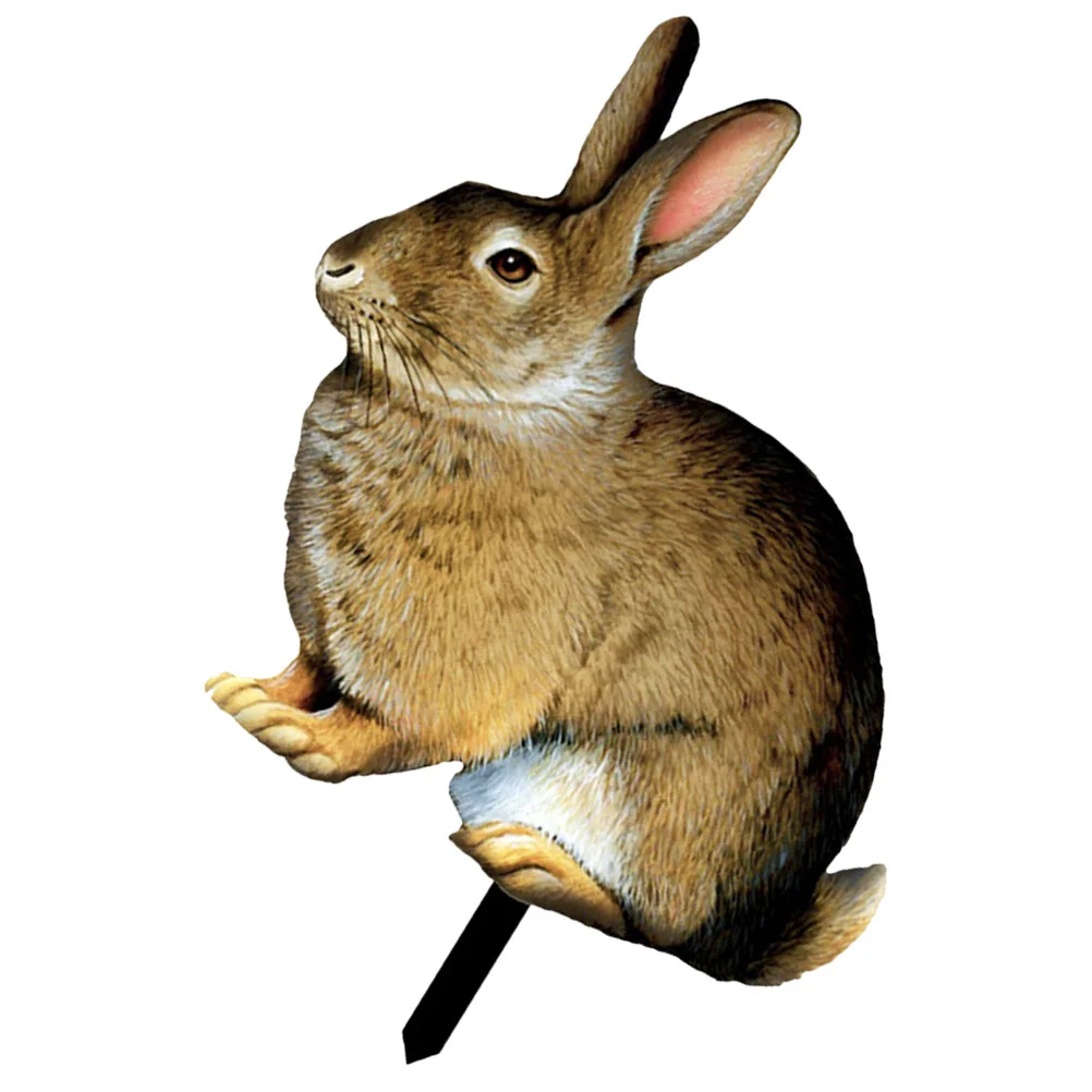 

Garden Rabbit Statue Decorative Inserts Ornaments for Crafts Lawn Stake Acrylic Bunny Sign Decorations