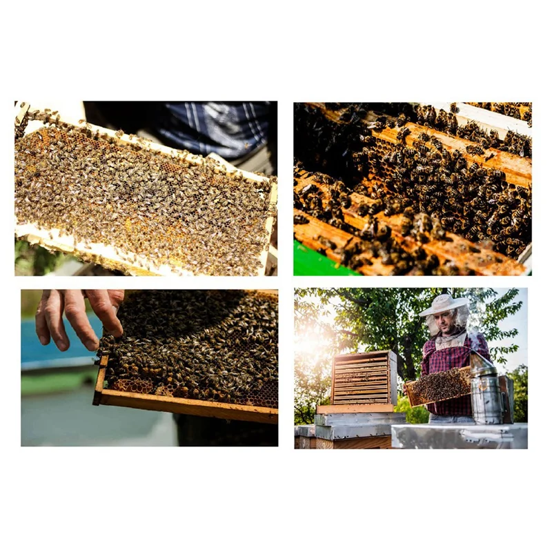 

AB33-1 PCS Honey Shaker Valve Honey Extractor Stainless Steel Honey Door Honey Faucet Beekeeping Equipment