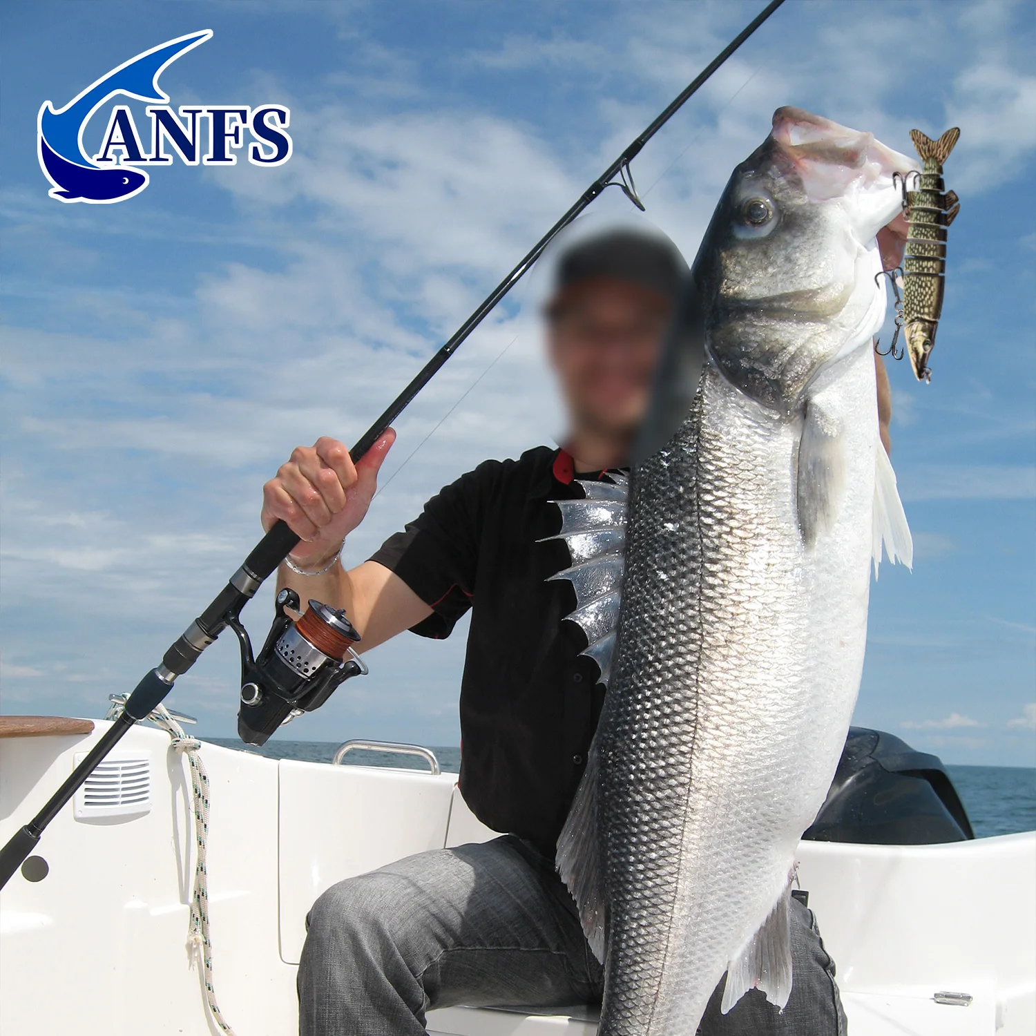 ANFS 17종 낚시 루어 키트 (담수/해수 겸용),  - Fishing Lure Spinnerbait 리뷰 및 가격