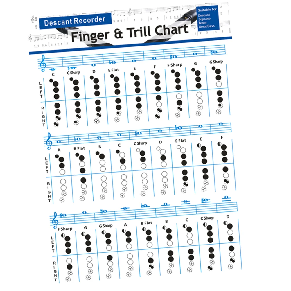 

Poster Bass Guitar Accessories Supplies Practice Chord Chart for Flute Recorders