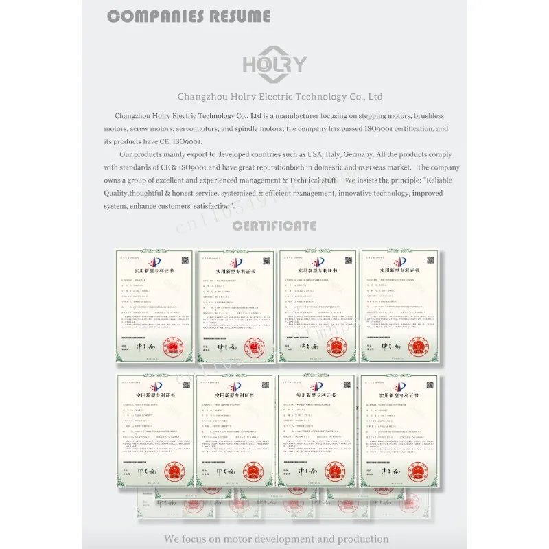 High Speed  4000RPM 30W 50W 78W 105W 24V Nema 17 42MM Brushless Motor With CE for CNC Machine