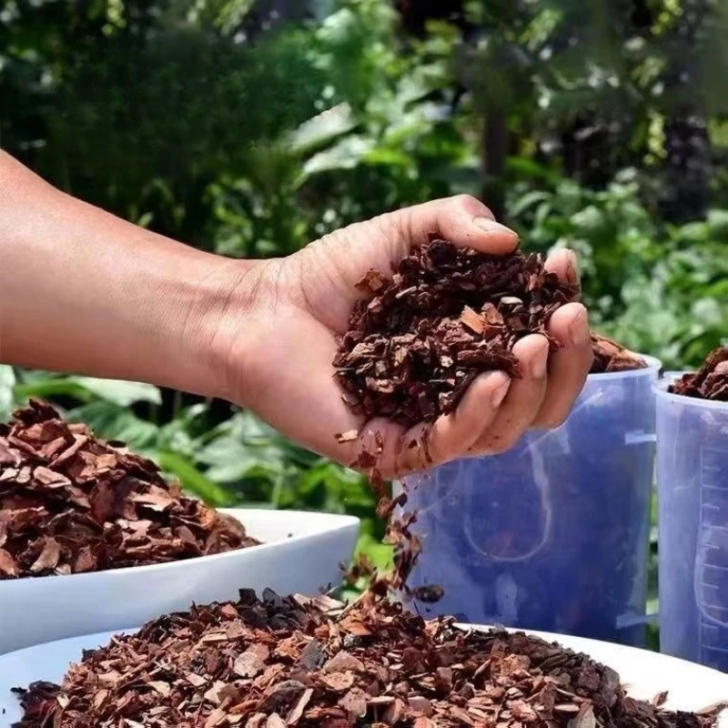 Corteza de pino fermentada, or - Orchid Potting Mix reseña y precio