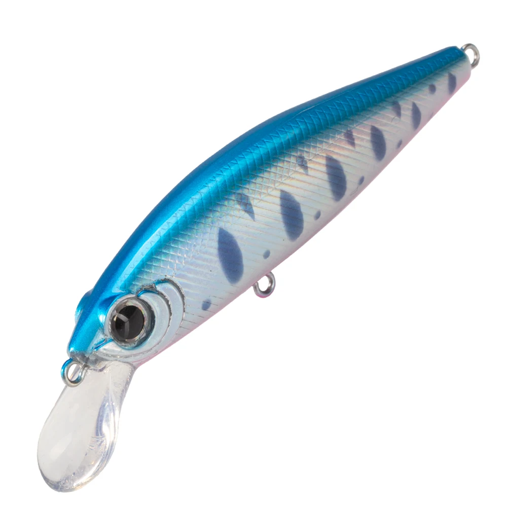 Hunthouse Rigge Flat Minnow Fishing Lure lento affondamento Hard Bait Wobbler 75mm 8.5g artificiale acqua salata luccio Bass Sea Fish Tackle