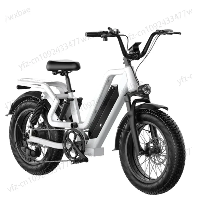 Ebike RS 750W 48V 25AH 20-inch 7-speed mountain electric bike with removable battery adult city electric bike