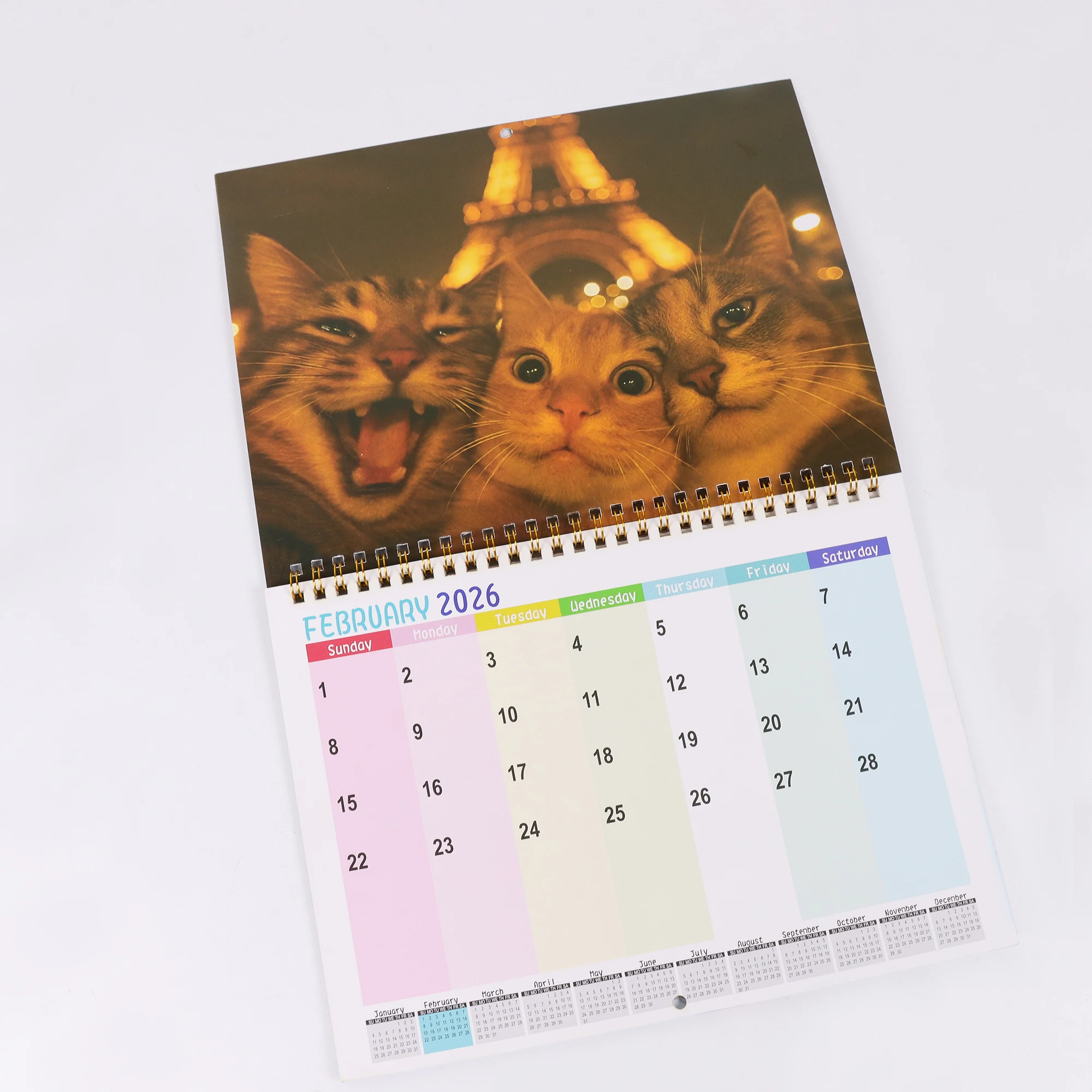 Calendario da parete 2026 Cat and Friends - Fun Cat Selfie Series, 12 mesi di foto, regalo perfetto per gli amanti dei gatti, lingua inglese