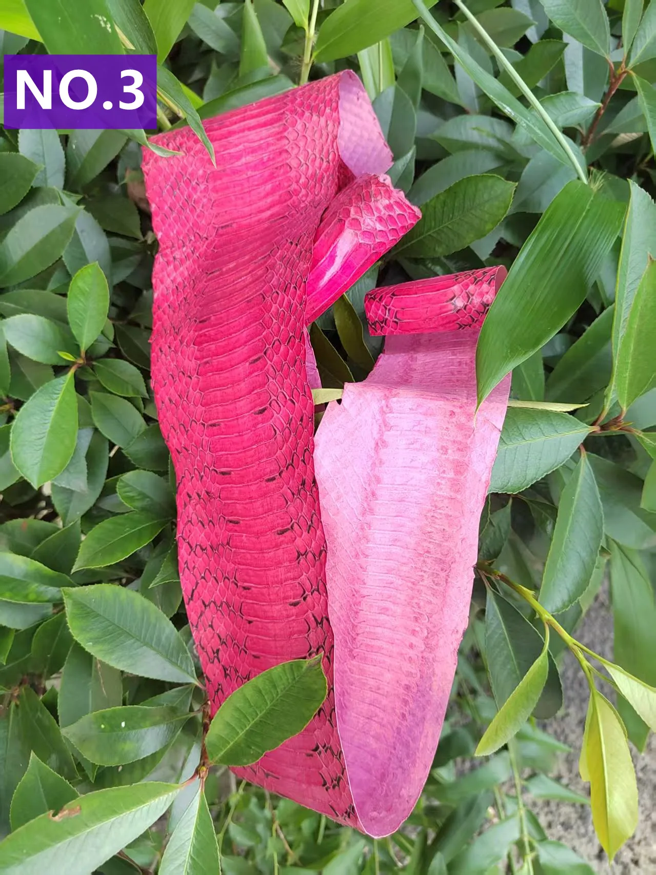 Natural Genuine Snake Skin, Dyed Snake Hide, Rare Exotic Animal Snake Leather Material