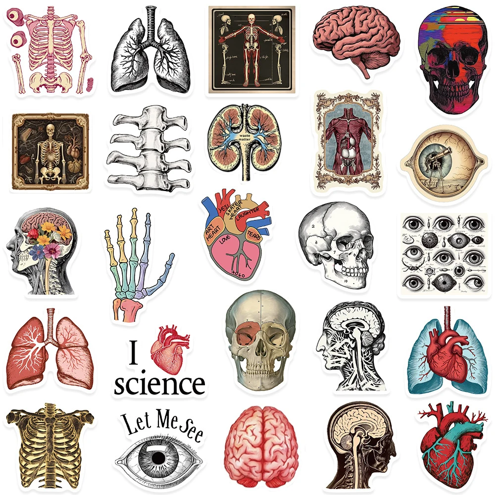 10/30/50pcs Retro Anatomia Scientifica Adesivi Organo di Fisiologia Umana Del Fumetto Adesivo FAI DA TE Notebook Scrapbook Laptop Decalcomanie Decor