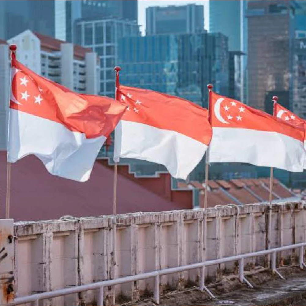 Xiangying-Lion City SGP Republic of Singapore Flag, 90x150cm, SG Flag