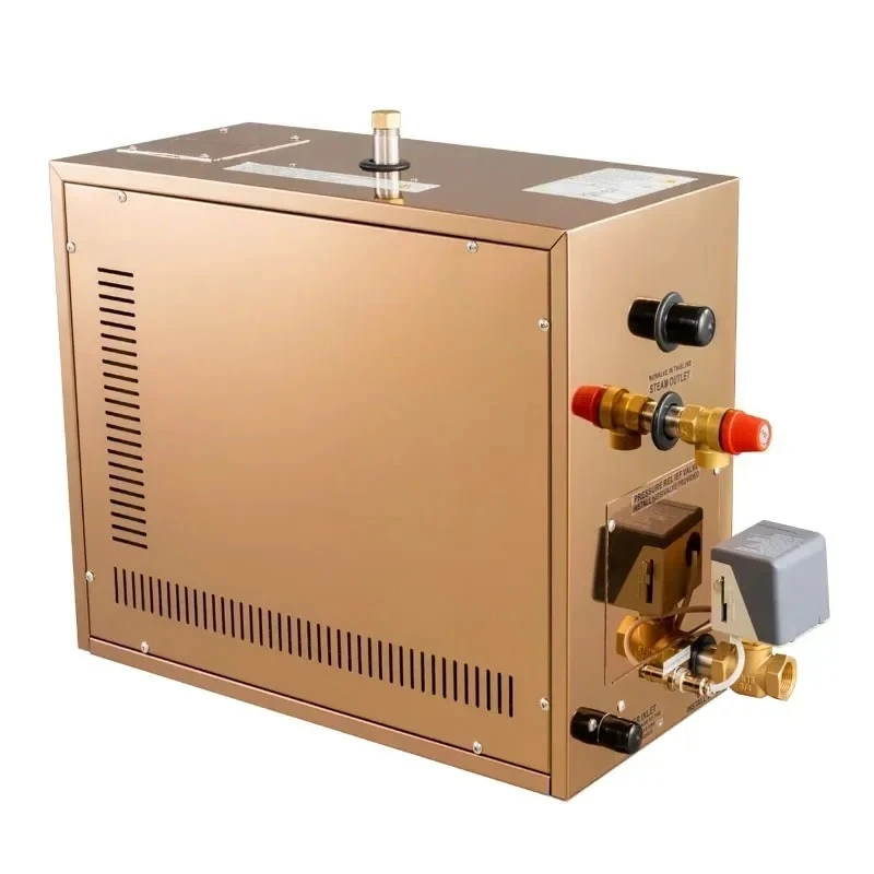 20253kw 6KW 9KW 12KW 15KW 18KW 21KW Sauna steam bath generator machine for home use hotel