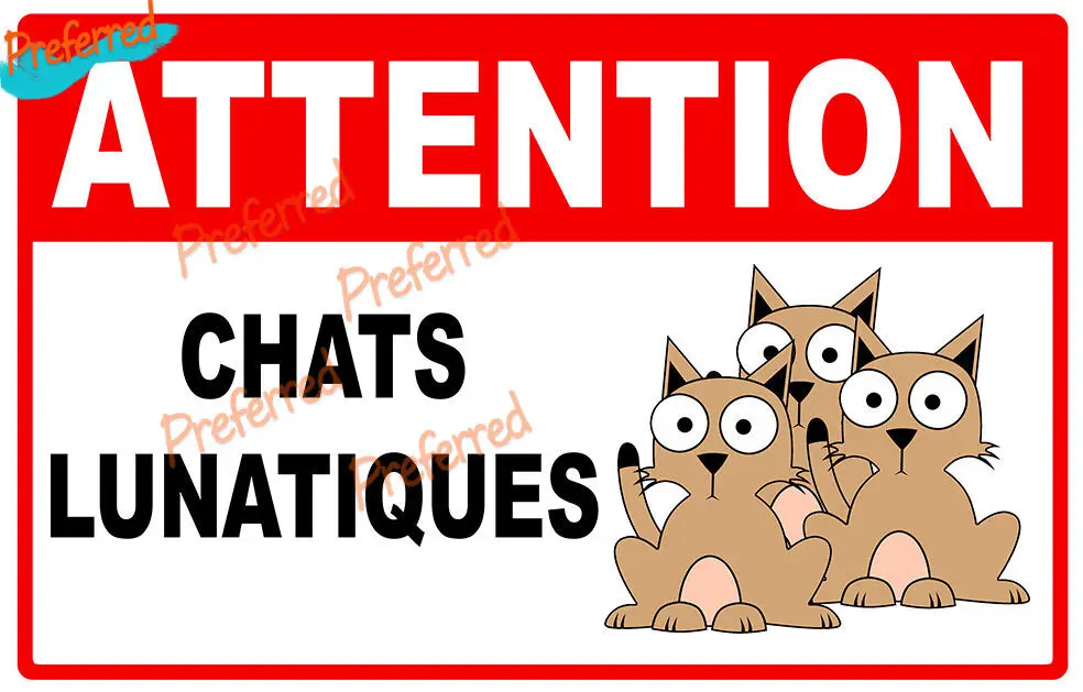 

Наклейка с надписью «Остерегайтесь кошек» и смешными колебаниями, 15 см