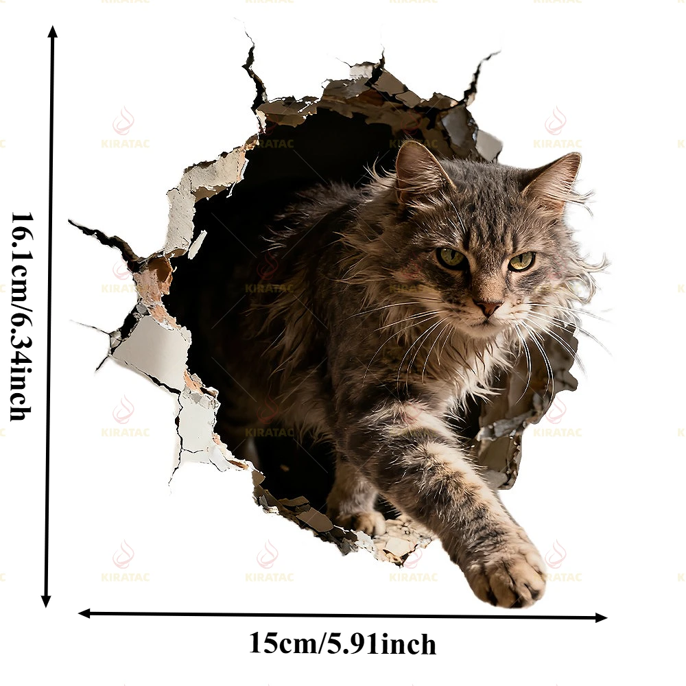 1pc Wall-climbing Cat Car Sticker for Auto Windows Trunks Body Motocycle Windshield Fairing Helmet Fuel Tank Scooter Vinyl Decal