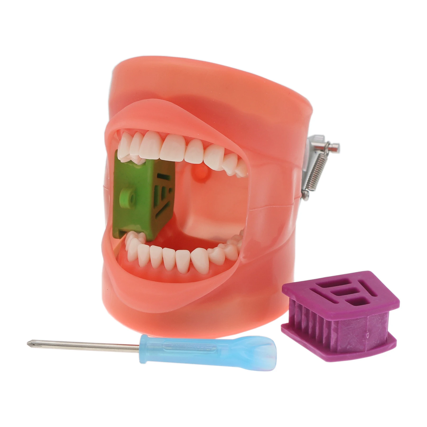 

Стоматологическая модель зубов Typodont, 32 шт., подходит для Kilgore Nissin 200, тип, замена ввинчивания