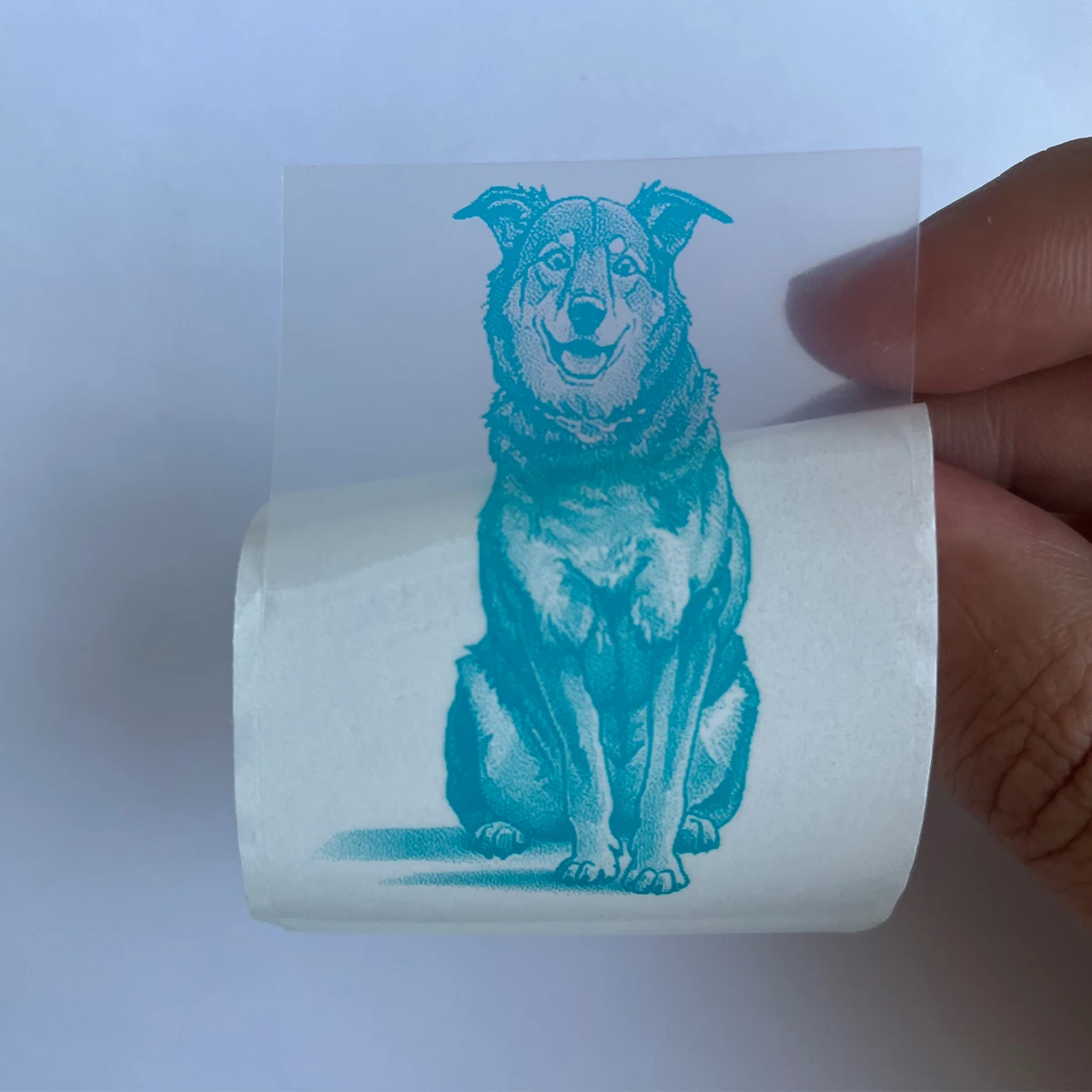 حراري شفاف ذاتي اللصق للطابعات المحمولة الصغيرة حتى مع ورق طباعة حراري لسطح ضوء الكاميرا، 57 مم × 25 مم