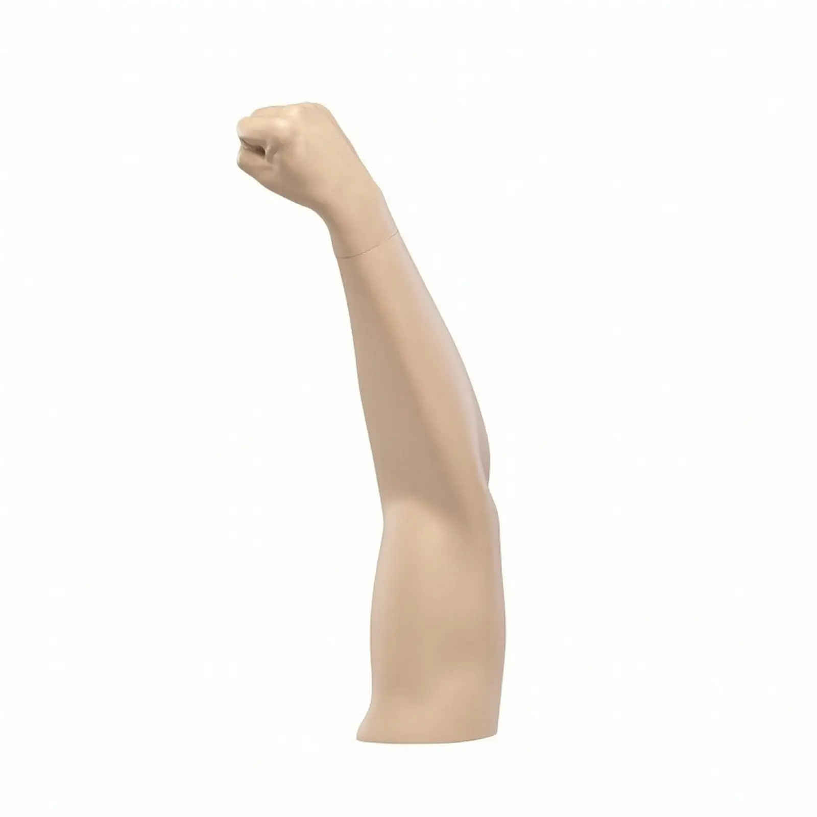 Arm Display Prop with Flared Base Molded Forearm Mannequin with Clenched Fist Sturdy for Product Photographers, Merchandising