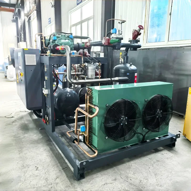 380V Stainless Steel Semi-Hermetic Reciprocating Compressor for Blast Freezer Catalogue Price Ice Carrier