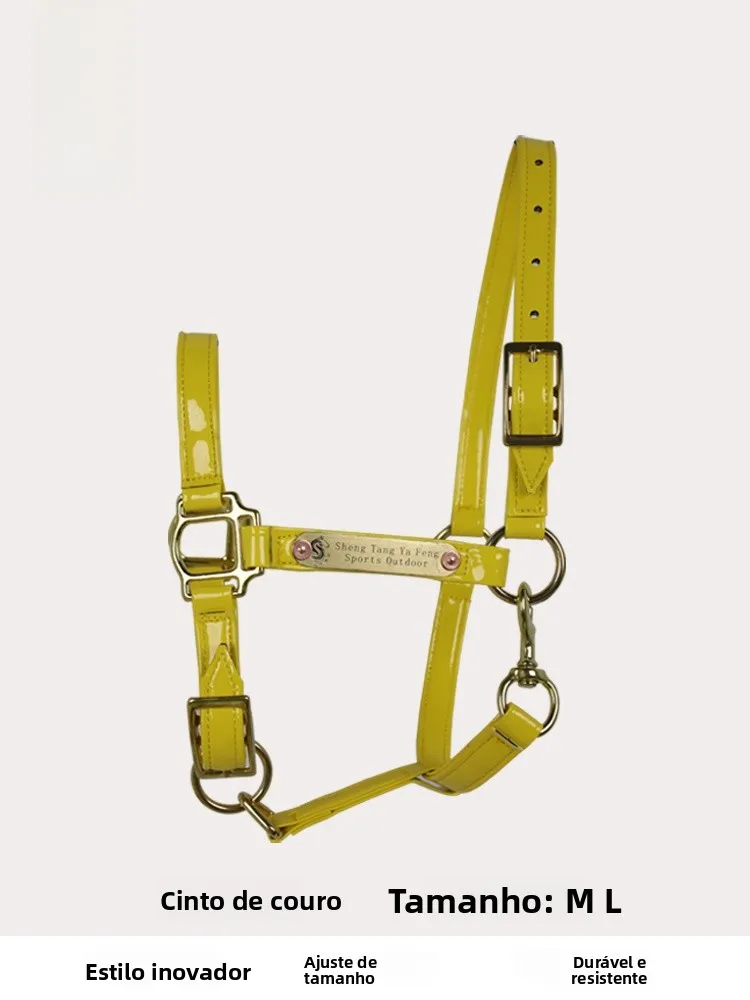new-painted-leather-bit-copper-accessories-lead-reins-wear-resistant-durable-for-miniature-horses-and-ponies