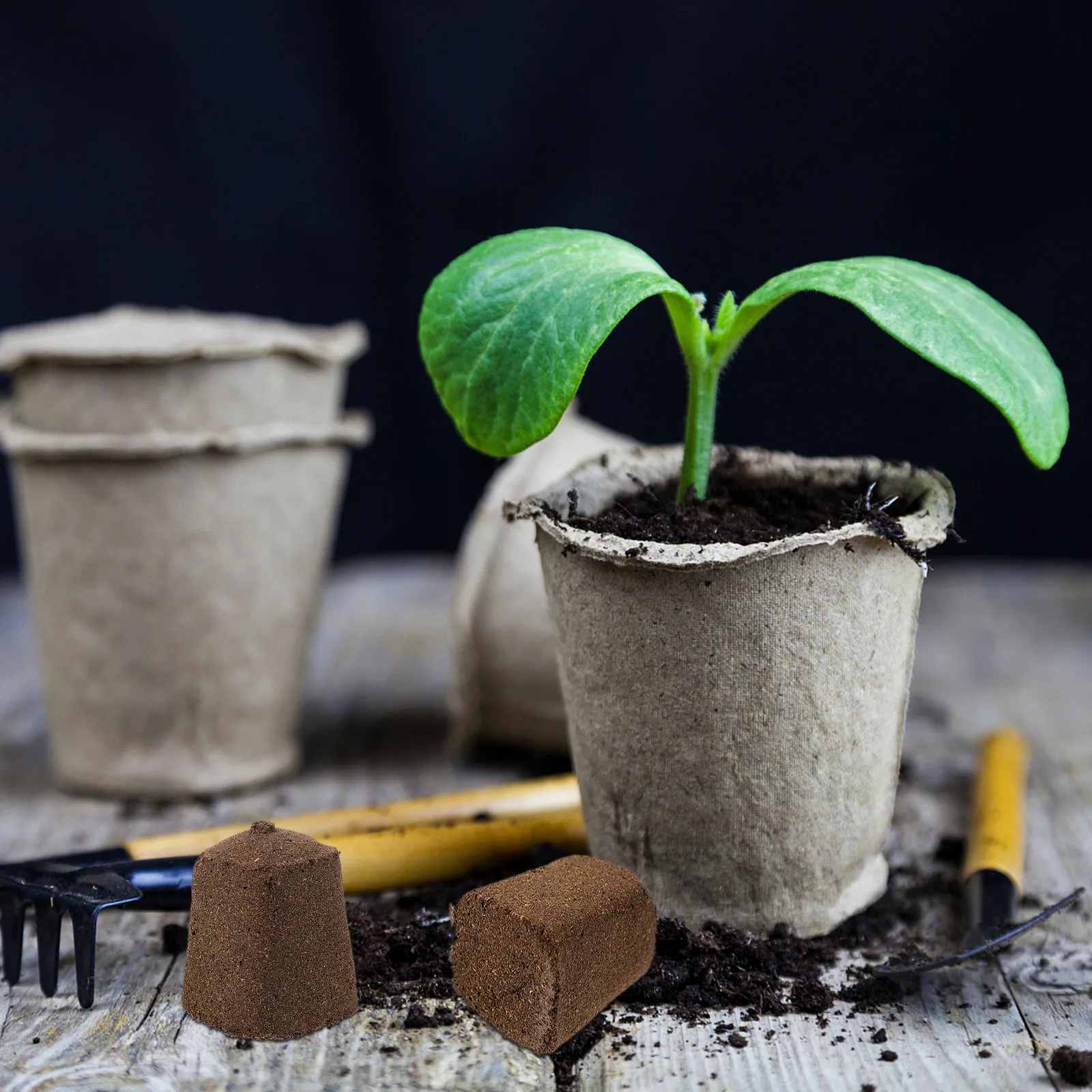 10Pcs Nursery Seedlings Peat Cultivation Block Nutrient Soil Breathable Moisture High Success Transplant Gardening Supplies