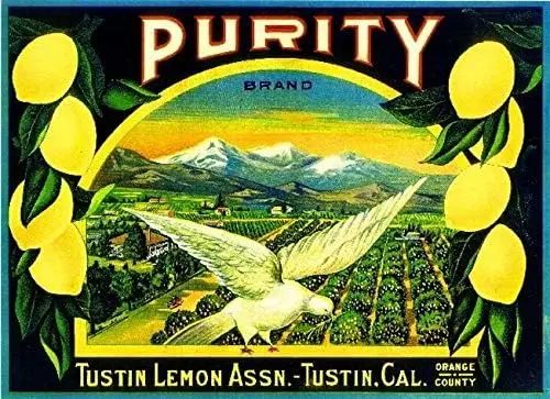 TYmall Wall Art Metal Hanging Sign Tustin California Purity White Dove Lemon Citrus Fruit Crate Box Label Art Print Metal T sign