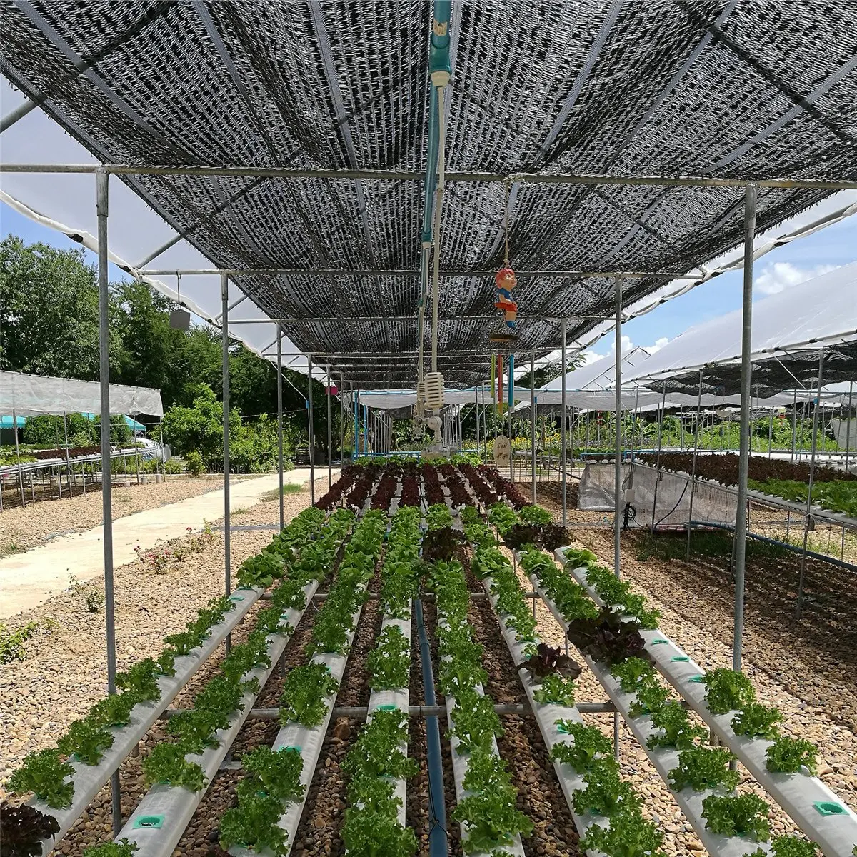 ABST Sun Mesh Sunblock Outdoor Garden Anti-Uv Sunscreen Shade Sails Sunblock Shade Cloth Net For Plant Greenhouse Car 2x3M - view 4