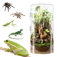 Acrylic Amphibian Breeding Box Wolf Spiders Isolation Hatching Incubator Reptile Terrarium for Tarantula Small Insect Habitat