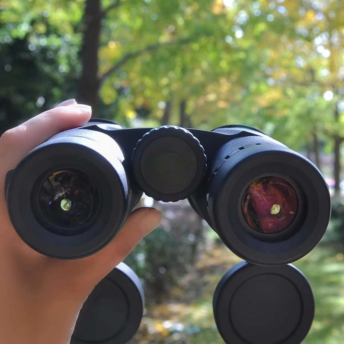 10x42 Folding Binoculars, Bak4 FMC Coated 10x42 Binoculars with Al-Mg Alloy Body for Bird Watching