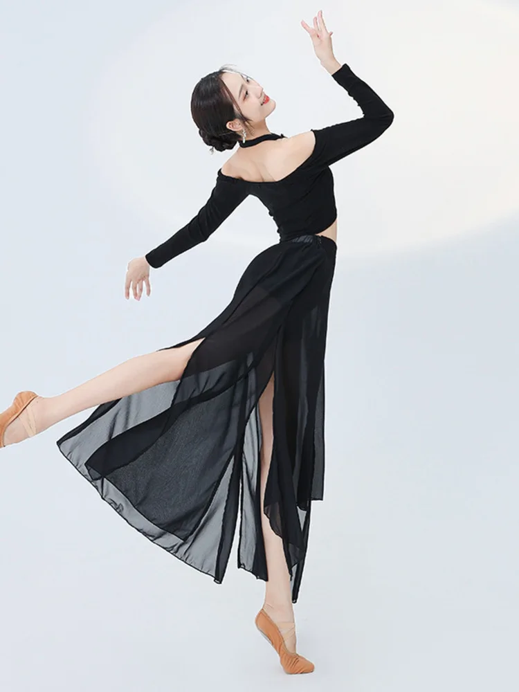 ホルターネック ホルター バックレス 長袖トップ シフォン スプリット スカート バレエ ダンス ステージ衣装 女性 女の子 パフォーマンスウェア