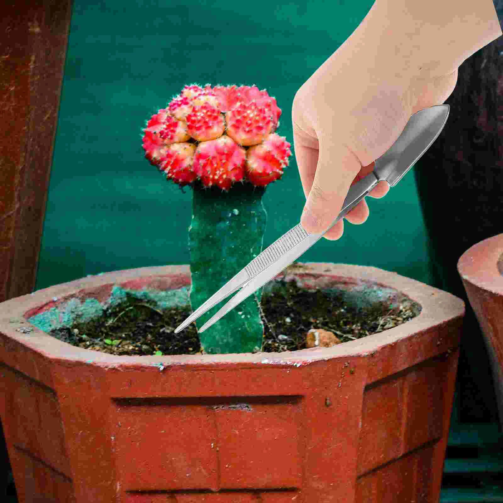 بونساي الملقط أداة البستنة أدوات صغيرة المناظر الطبيعية التسوية أشعل النار ساحة التصميم الداخلي #2